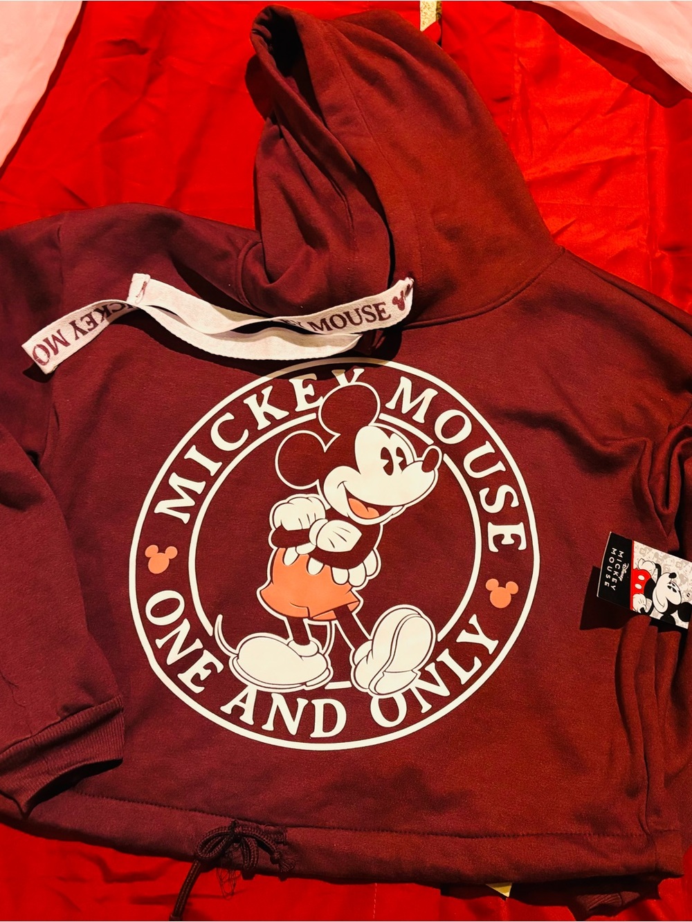 Disney Maroon Mickey Mouse Pullover Hoodie
